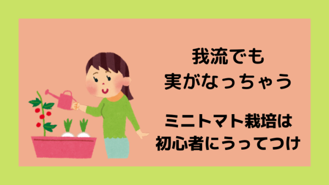 プランターに水やりしている女性の横に我流でも実がなっちゃう　ミニトマト栽培は初心者にうってつけのロゴが入っているイラスト